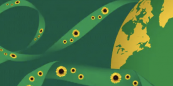 Global Sunflower programme