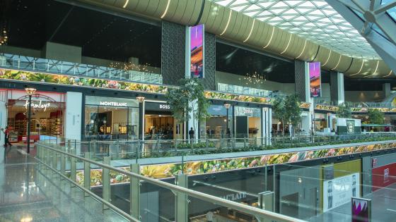 Hamad expansion, Orchard and shops